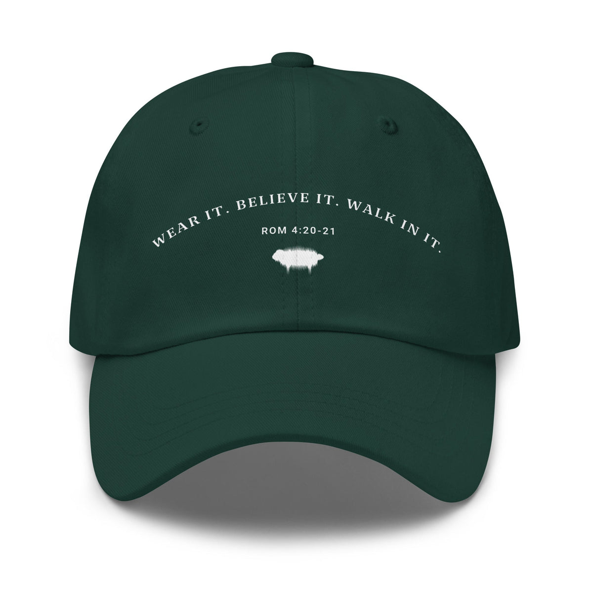 Romans 4:20-21 Merch - Valiant Sheep Store
