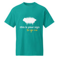 DryBlend® T-Shirt - "This is your sign to go on" Jade Dome - Valiant Sheep