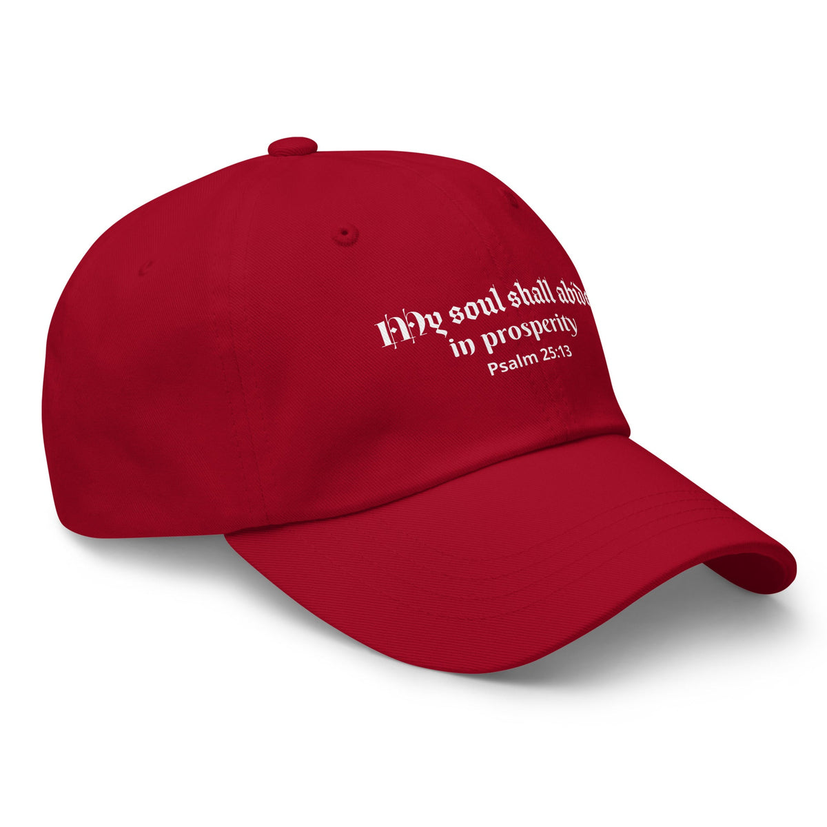 My Soul Shall Abide in Prosperity Psalm 25:13 - Classic Dad Hat for Determined Promise Carriers Cranberry - Valiant Sheep Store
