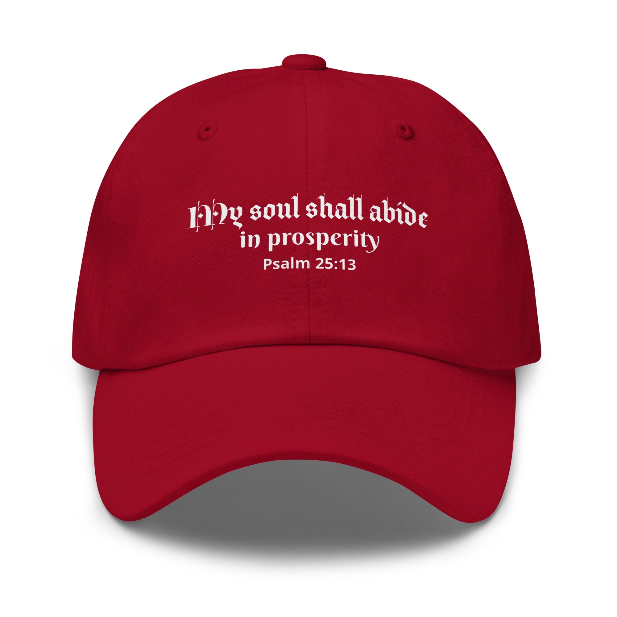 My Soul Shall Abide in Prosperity Psalm 25:13 - Classic Dad Hat for Determined Promise Carriers Cranberry - Valiant Sheep Store