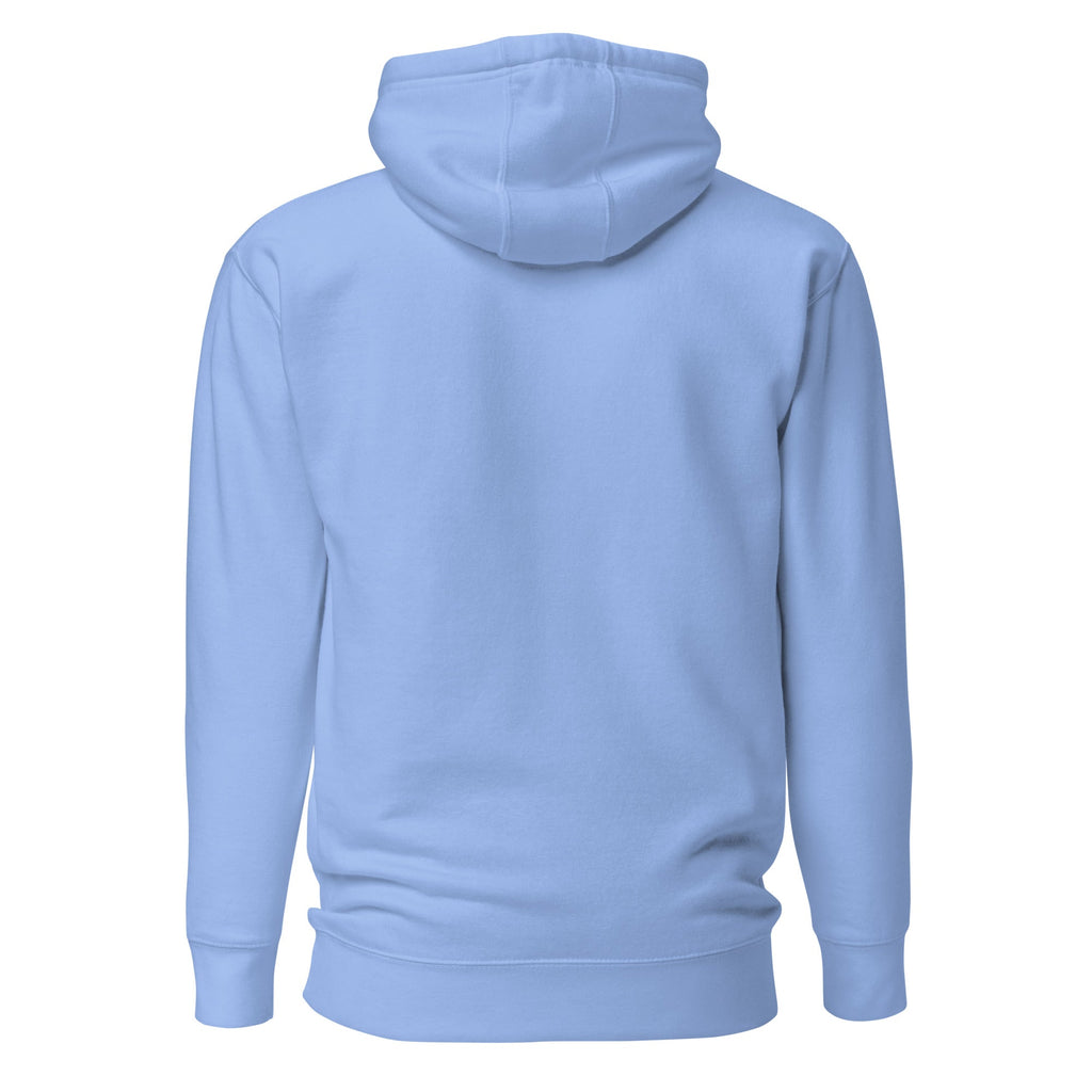 Unisex Hoodie - Habbakuk 2:2 "Write the Vision" Carolina Blue - Valiant Sheep Store