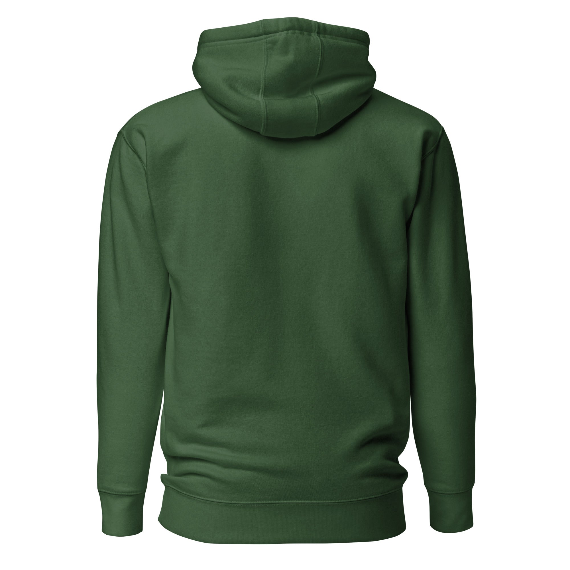 Unisex Hoodie - Habbakuk 2:2 "Write the Vision" Forest Green - Valiant Sheep Store
