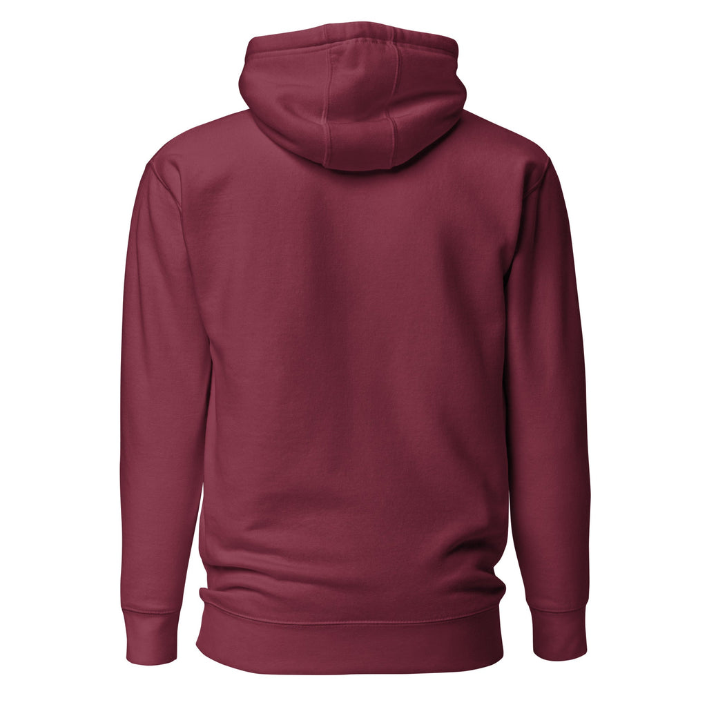Unisex Hoodie - Habbakuk 2:2 "Write the Vision" Maroon - Valiant Sheep Store