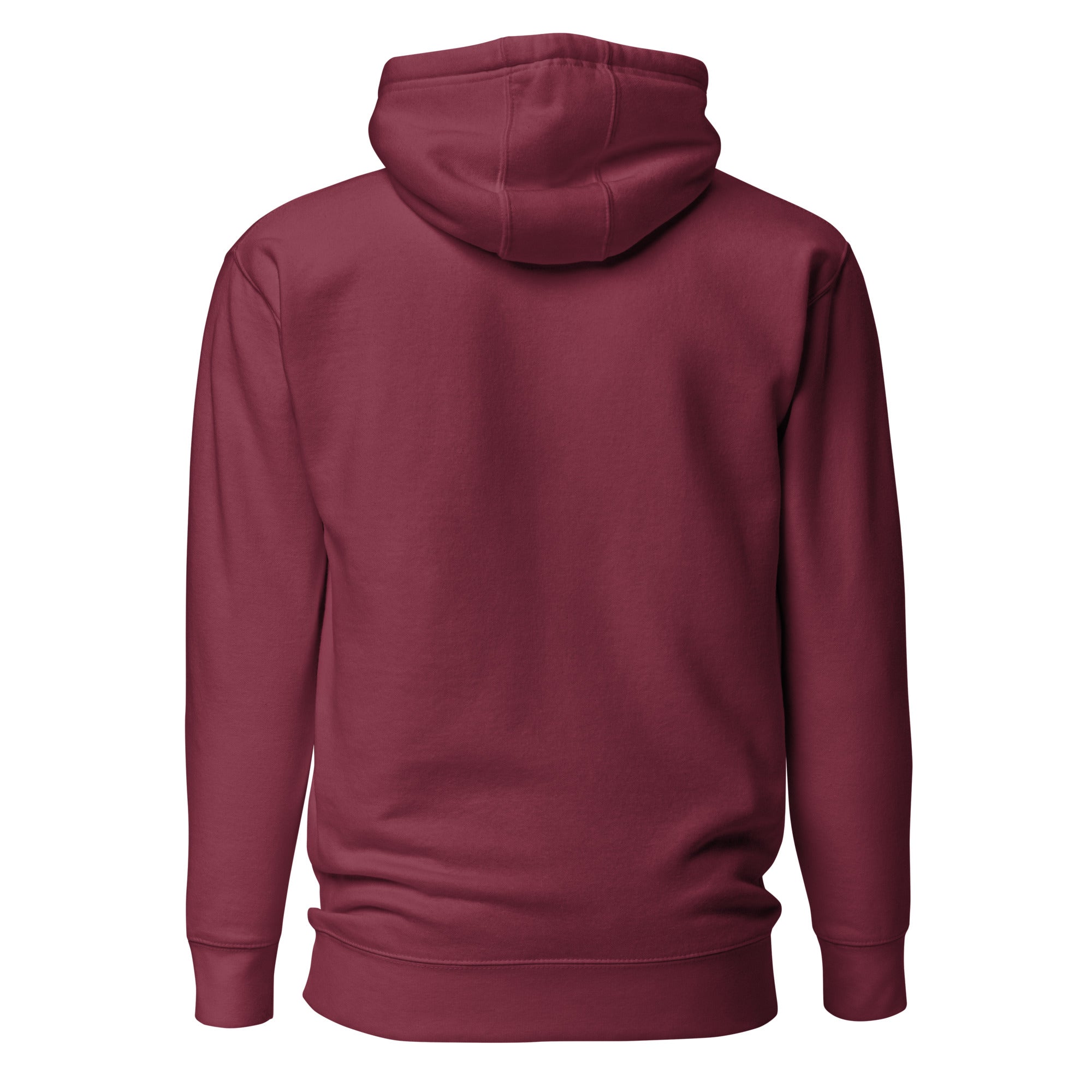 Unisex Hoodie - Habbakuk 2:2 "Write the Vision" Maroon - Valiant Sheep Store
