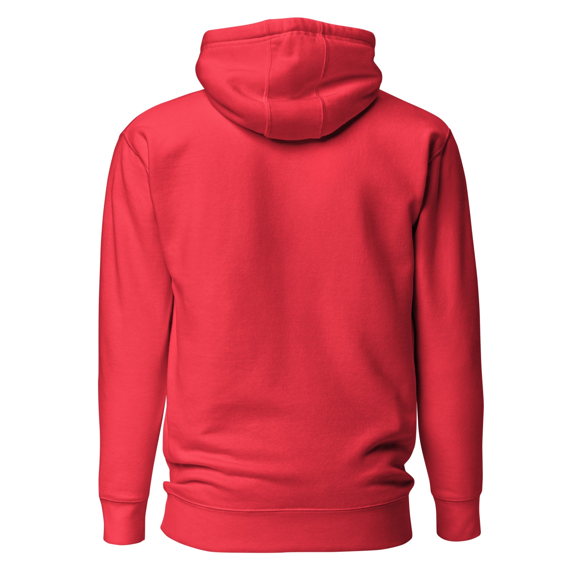 Unisex Hoodie - Habbakuk 2:2 "Write the Vision" Team Red - Valiant Sheep Store