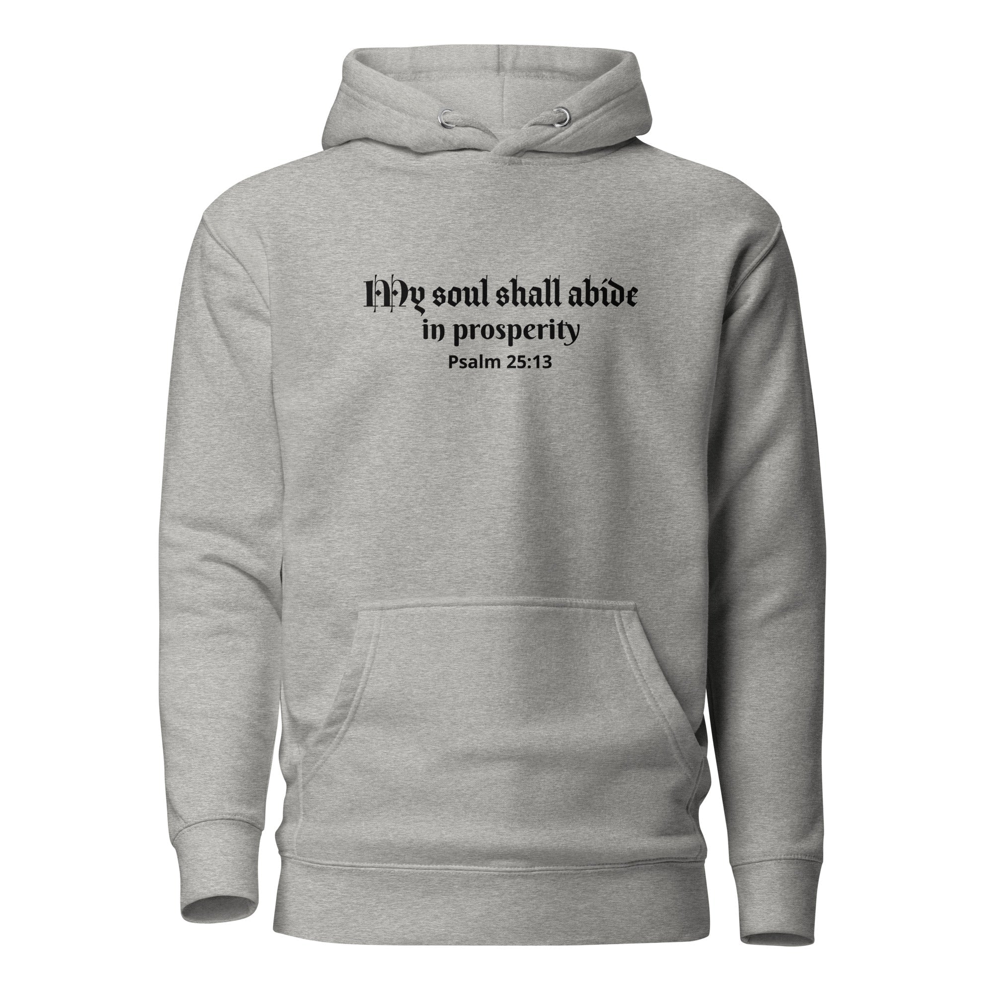 Unisex Hoodie - Psalm 25:13 "My Soul Shall Abide in Prosperity" Carbon Grey - Valiant Sheep Store